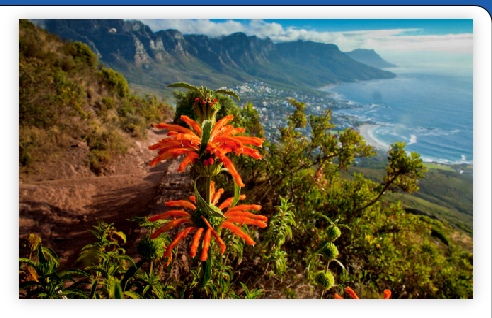Κέιπ Τάουν (Cape Town)